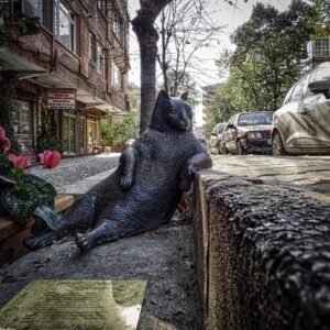 Tivelle Pro Renew Daily Ampoules · 10 Pack